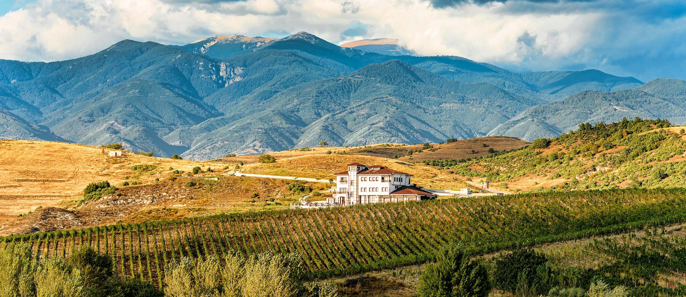 www.balkan.com